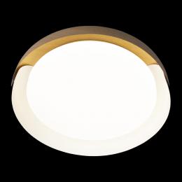 Потолочный светодиодный светильник Loft IT Coin 10198 White  - 3 купить